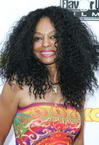 Diana Ross photo